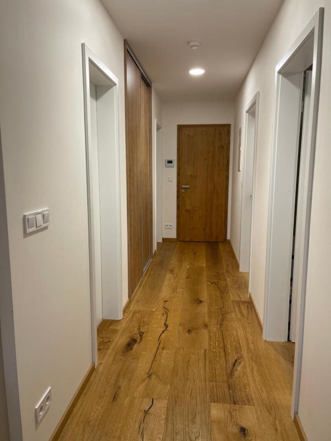 Strunzova Pila Kvilda Apartman 308 Eksteriør billede